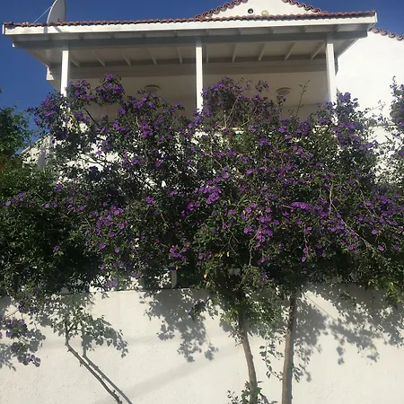 Defne Ev Otel